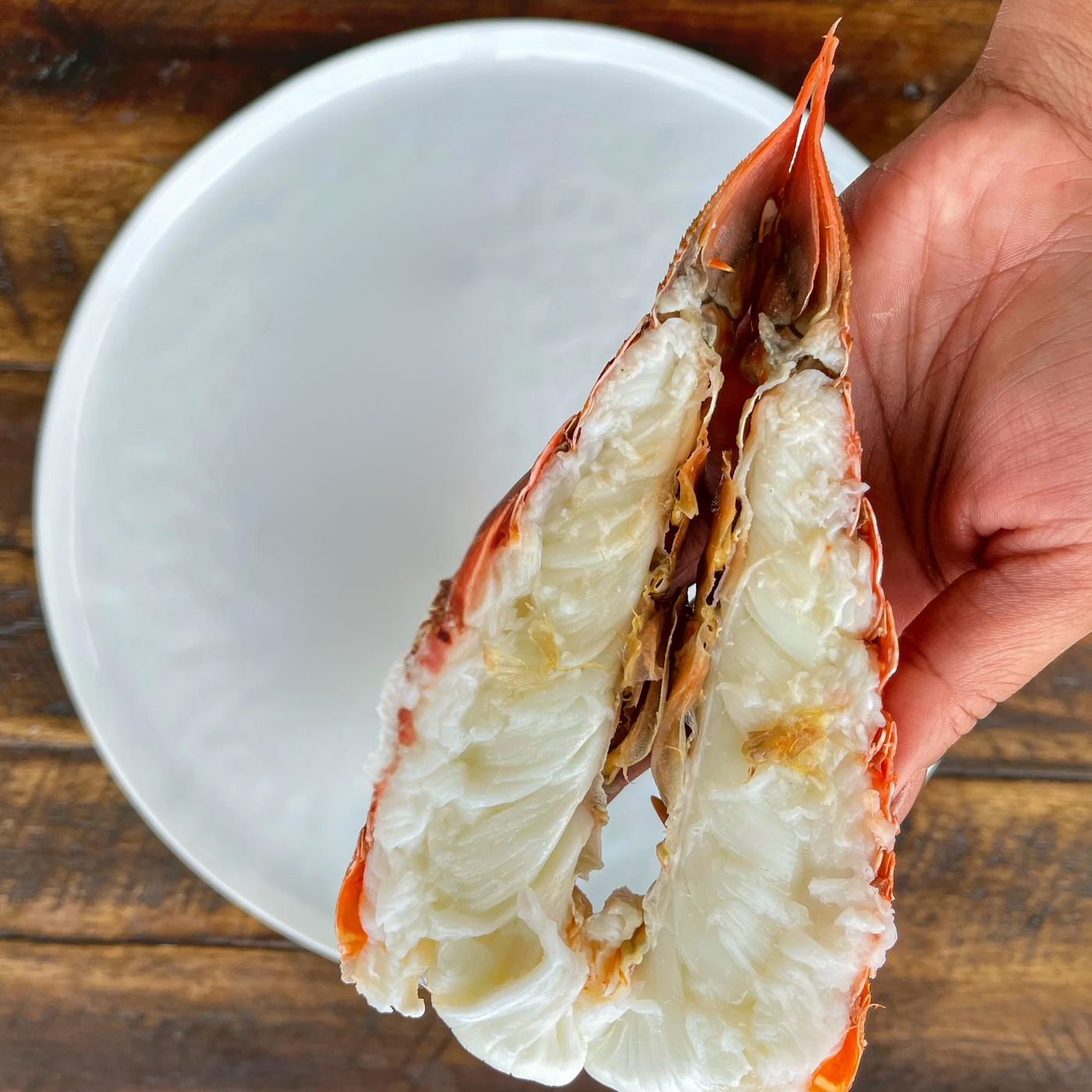 South African Lobster Tail (1 Tail)