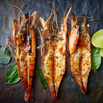 New Caledonia Shrimp / French Blue Prawns