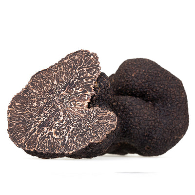 Black Burgundy Truffles -Tuber Uncinatum Summer