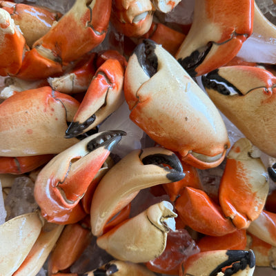 Large Stone Crab Claws (3 - 18lbs)