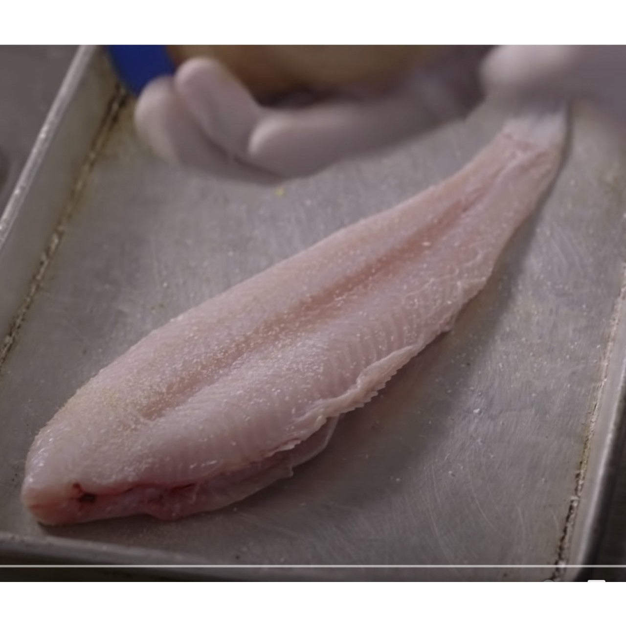 Dover Sole - Whole - Kitchen Ready (Wild)